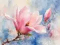 Watercolor magnolia