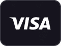 Visa 결제